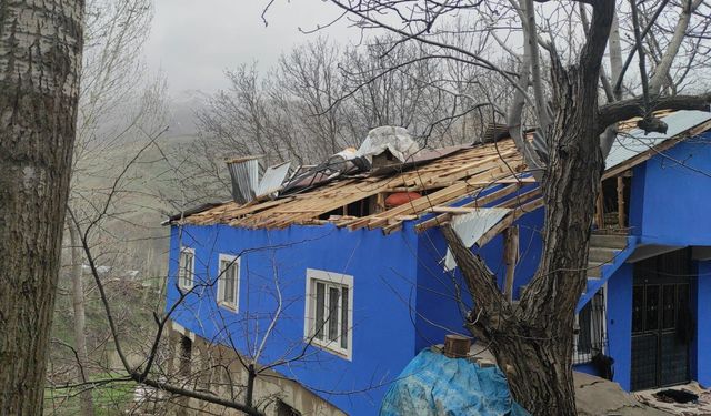 Van'da fırtına hasara neden oldu