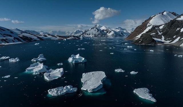 Antarktika kıtasında yeni deniz canlısı türleri toplandı