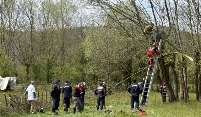 Budadığı ağaçta kalp krizi geçirerek hayatını kaybetti