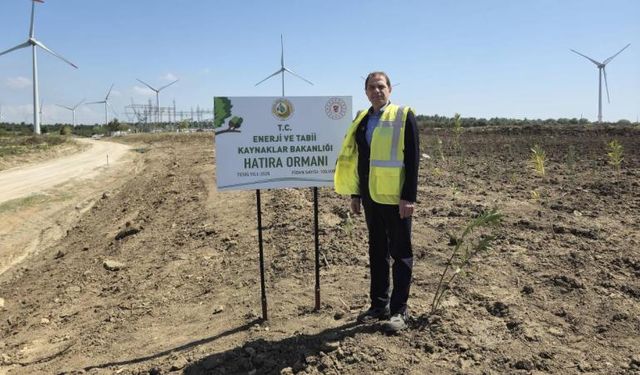 Enerji ve Tabii Kaynaklar Bakanlığı 100 bin fidanlık "enerji ormanı" oluşturuyor
