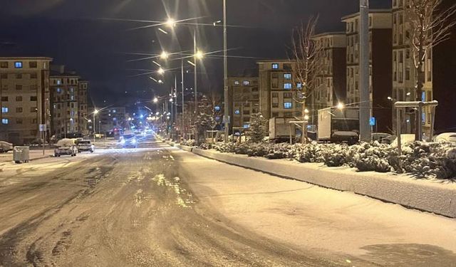 Erzurum kar yağışının ardından beyaza büründü