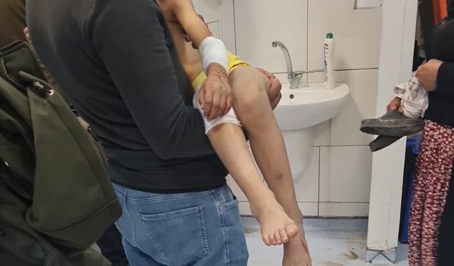 Başıboş köpekler 9 yaşındaki çocuğa saldırdı