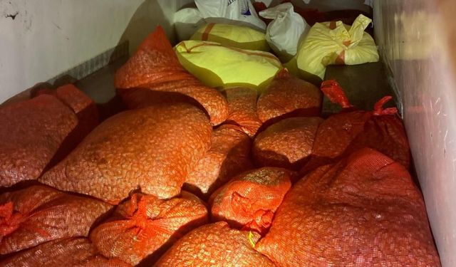 Kaçak midye avına 37 bin lira ceza