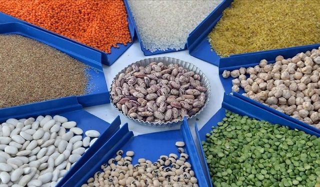 Güneydoğu'nun hububat ihracatı arttı