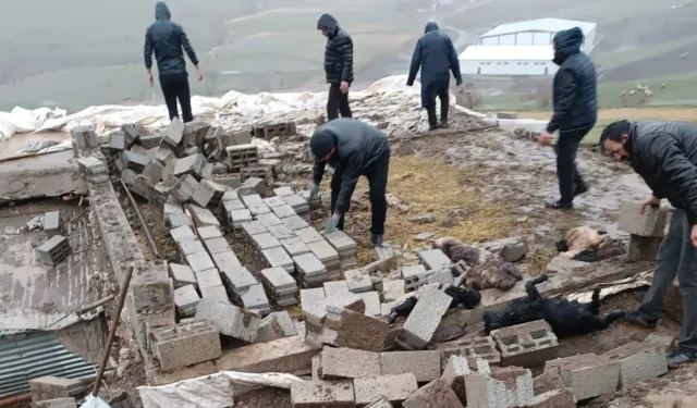 Hakkari'de ağıl çöktü: 25 hayvan telef oldu