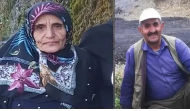 Hakkari'de 60 yaşındaki kadından haber yok