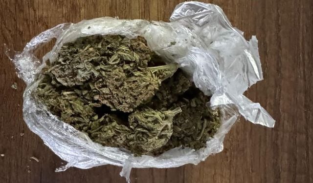 Mersin'de tefecilik operasyonunda 2 zanlı tutuklandı