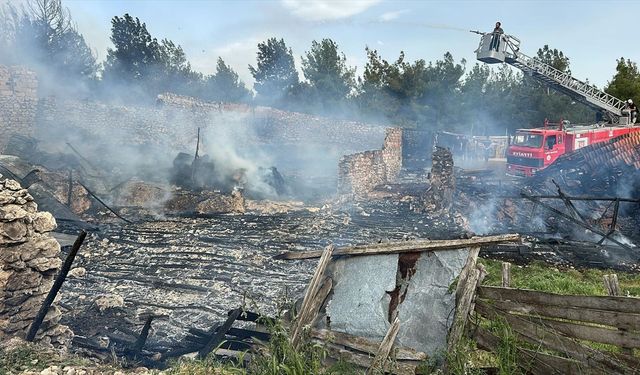Uşak'ta ahırda çıkan yangında 54 kuzu telef oldu