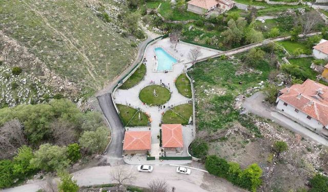 Nesli tükenmekte olan Angora tavşanları yaşatılmaya çalışılıyor