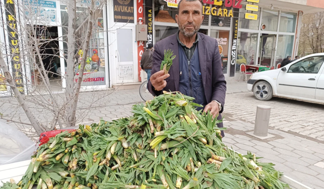 Güncel