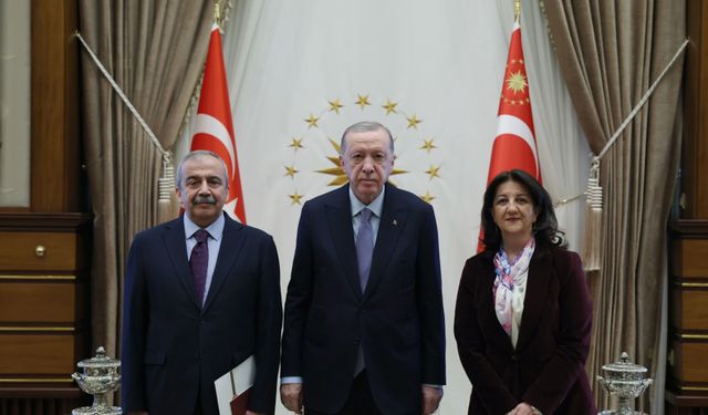 Cumhurbaşkanı Erdoğan'dan Sırrı Süreyya Önder'e taziye
