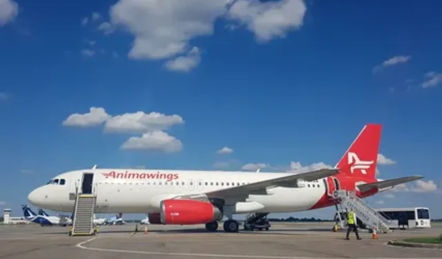 AnimaWings Hava Yolları, Romanya'dan İstanbul'a uçuş başlatacak