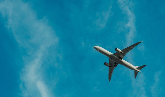 Havada panik: Yolcu uçağı acil iniş yaptı