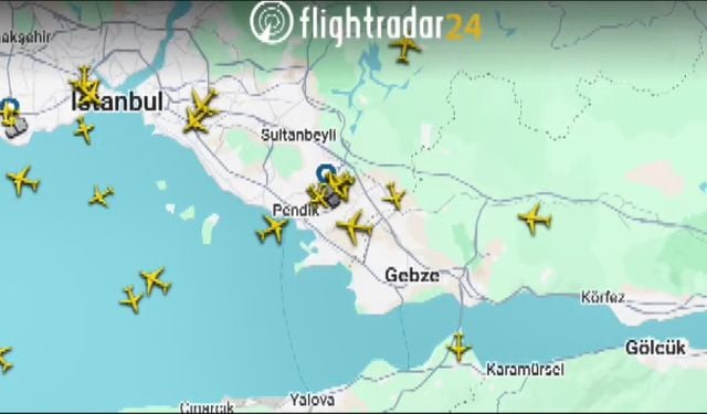 Sabiha Gökçen Havalimanı'nda ördek alarmı