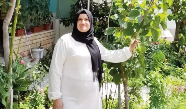 Güncel