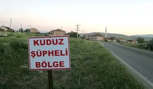Genel