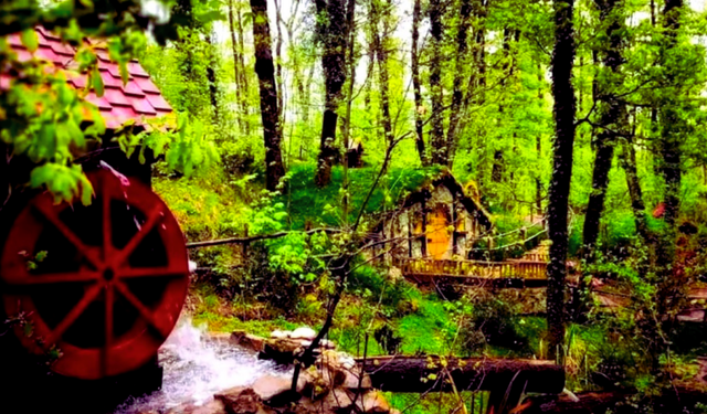 Hafta sonuna doğa molası! Sapanca'da gezilmesi gereken yerler…