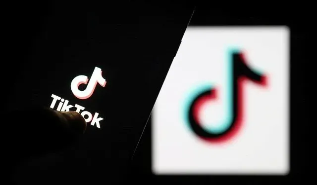 TikTok'a 530 milyon avro ceza kesildi