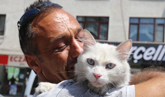 Aradığı kedisi bulununca sevinç gözyaşlarına boğuldu