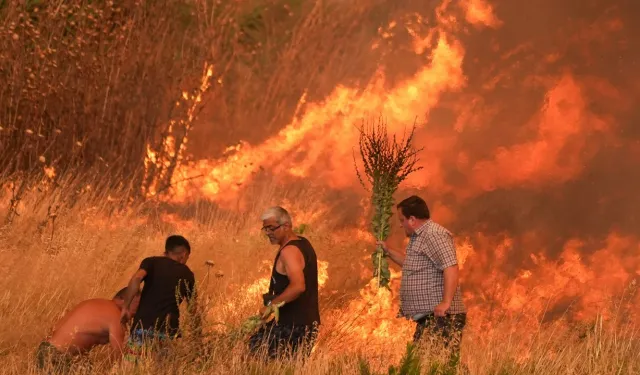 Copernicus uzmanına göre aşırı sıcaklarda yangınları kontrol altına almak zorlaşıyor