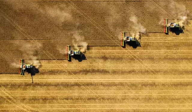 Rüyada tarla ekmek ne demek? Rüyada tarlaya ekin ekmenin psikolojik anlamları