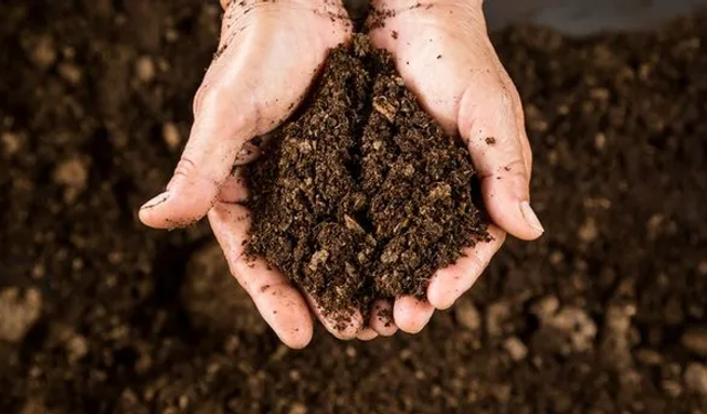 Rüyada toprak görmek ne demek? Rüyada toprak görmenin psikolojik anlamları...
