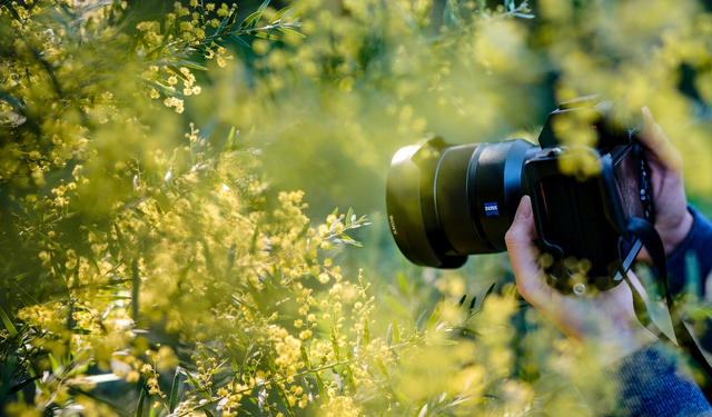 Rüyada fotoğraf çekmek ne demek? Rüyada fotoğraf çekmenin psikolojik anlamları...