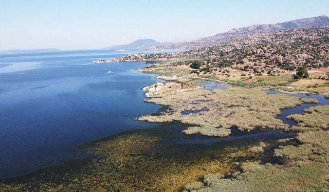 Sıcaklığın artmasıyla suyu çekilmeye başlayan Bafa Gölü'nde kirlilik yaşanıyor