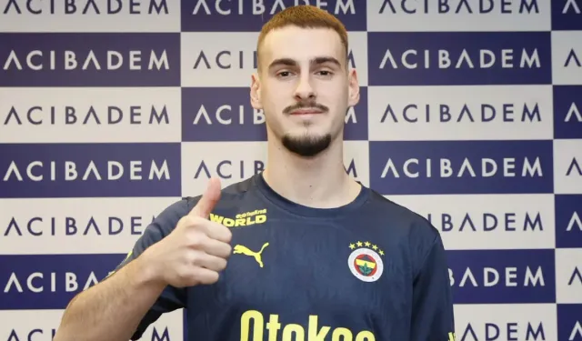 Fenerbahçe, Mimovic için kararını verdi