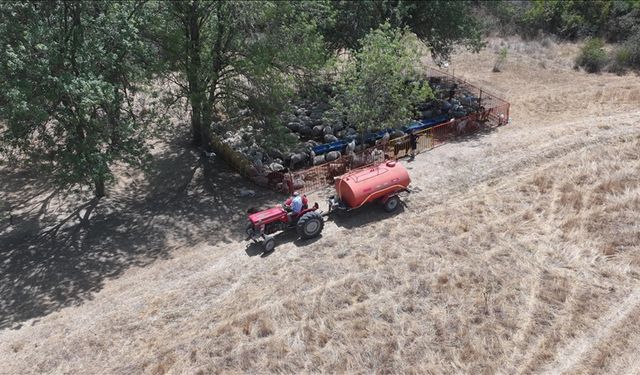 Edirne'de besiciler, su kaynaklarının kuruma noktasına geldiği meralardaki hayvanlarına tankerlerle su taşıyor