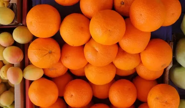 En çok ihracatı yapılan tarımsal ürünlerin sanal su miktarları hesaplandı