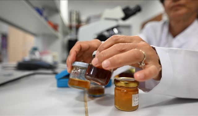 İklim değişikliği kestane balının içeriğini de etkiledi