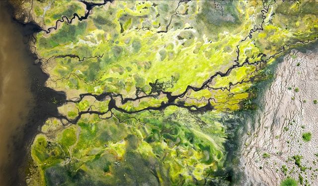 Karakaya Barajı'nda su seviyesi sıcak hava ve kuraklık nedeniyle geriledi