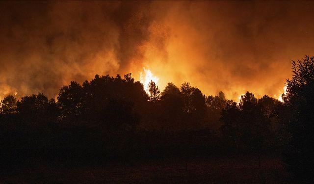 Orman yangınlarının yüzde 57'si orman dışı alanlarda başladı