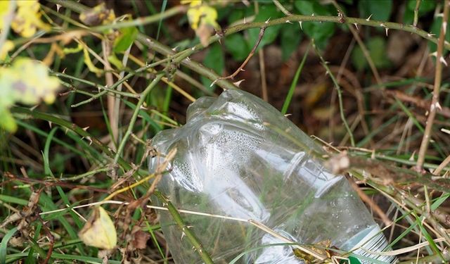 Plastik kirliliğine karşı küresel anlaşma ekonomi ve istihdamda yeni fırsatlar sunabilir