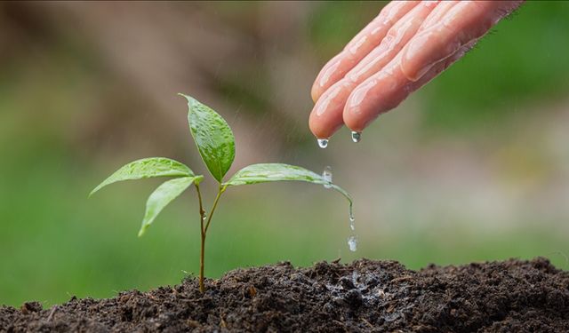 Gıda güvenliğini tehdit eden kuraklıkla mücadelede su yönetiminin önemi artıyor