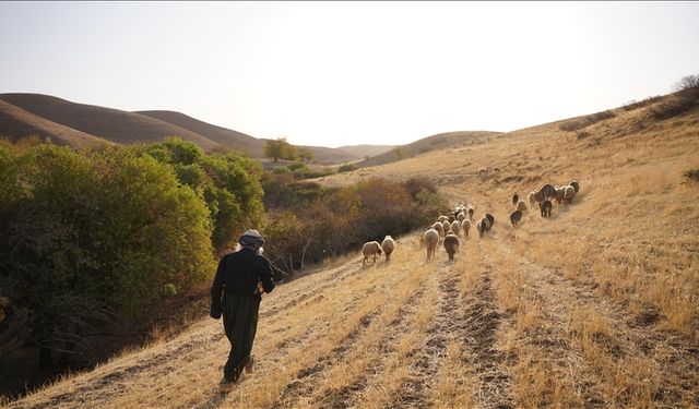 Kerküklü Derviş hem çobanlık yapıyor hem çocuklara Kur’an-ı Kerim öğretiyor