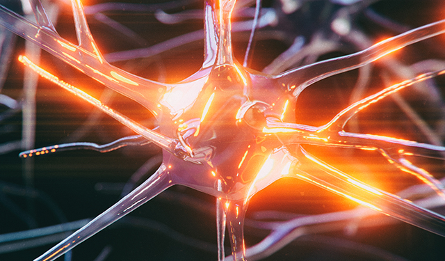 Beynin temizlik sistemi! Uykusuzluk riski artırabilir