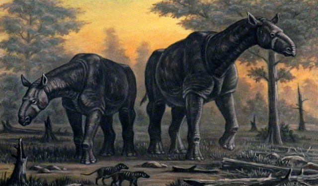 Filler mi daha büyük, yoksa tarihin dev gergedanı mı?