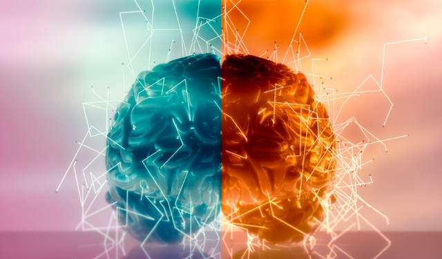 Monty hall problemi: Kararlarımız beynimiz hakkında ne söylüyor?