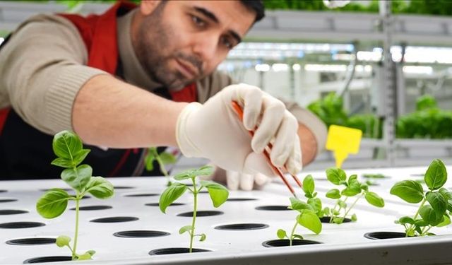 Tarımda verimlilik için toprak ve su kaynakları teknolojiyle korunacak