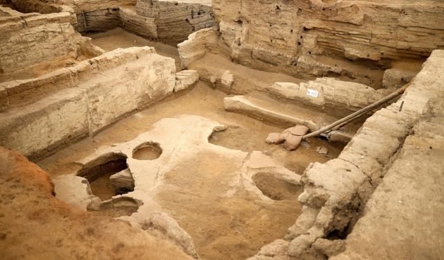 Tavşanlı'da 4 bin yıllık nohut, Çatalhöyük'te 8 bin 600 yıllık ekmek kalıntıları gün yüzüne çıkarıldı