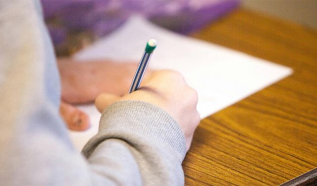 MEB, tarım işçisi ailelerin çocukları için telafi kursları hazırladı