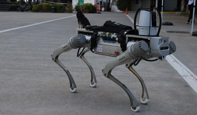 Robot köpeklere milli rakip! PROTEO göreve hazır