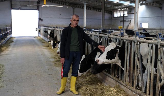 20 inekle başladı, günlük 1 ton süt üretir hale geldi