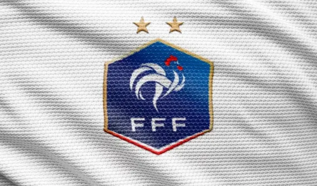 Fransa'da lisanslı sporcularının kişisel verileri çalındı