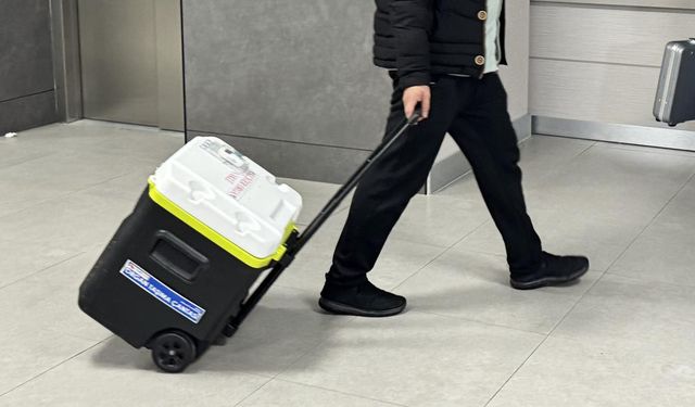 Yeni yapay zeka aracı, organ nakli için harcanan çabayı yüzde 60 oranında azaltabilir