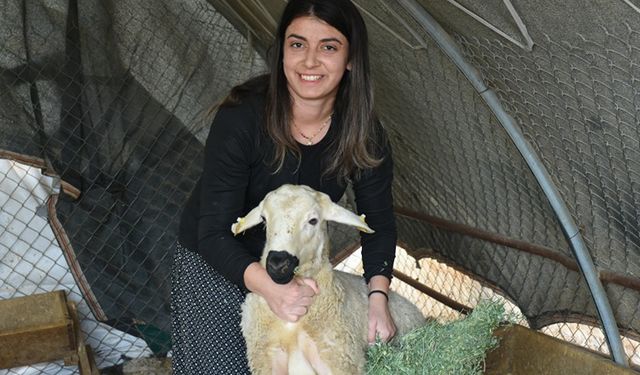 Devlet desteğiyle besiciliğe başlayan kadın 250 hayvana ulaştı