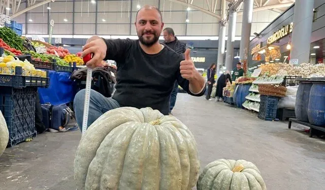 Devasa kabak görenleri şaşırttı: Tam 60 kilo ağırlığında