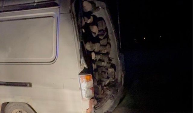 Gönen ve Manyas sınırında odun hırsızlığına suçüstü